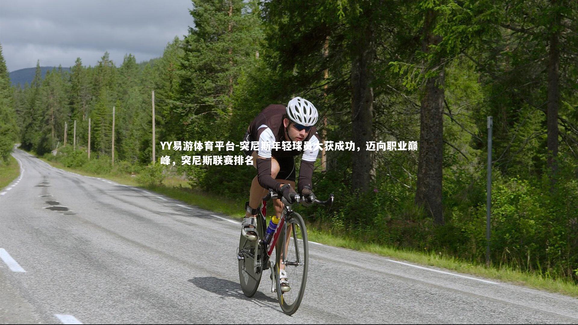 突尼斯年轻球员大获成功，迈向职业巅峰，突尼斯联赛排名